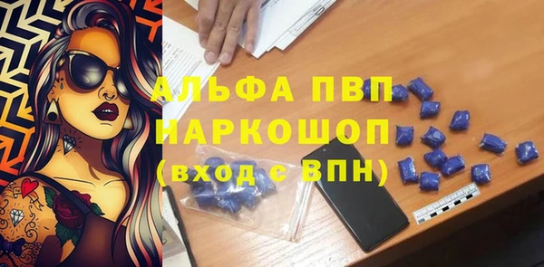 a pvp Белокуриха