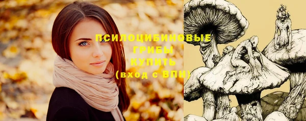 a pvp Белокуриха