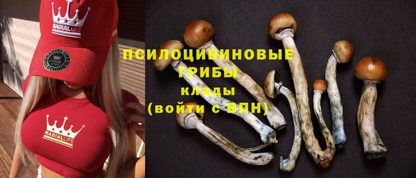 прущая мука Баксан