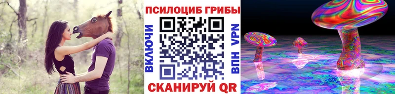 Псилоцибиновые грибы прущие грибы  omg как войти  Жердевка  площадка официальный сайт  купить  цена 